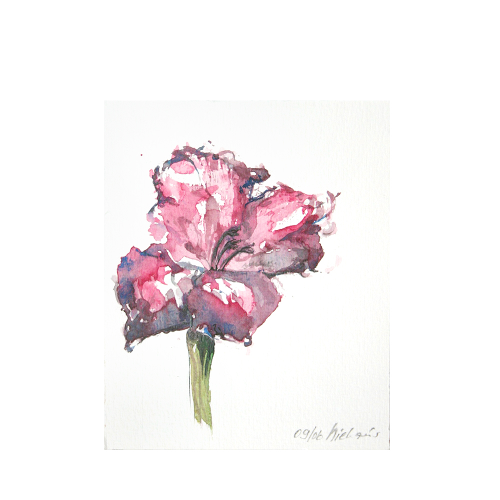 Blume, Aquarell, 105x210mm